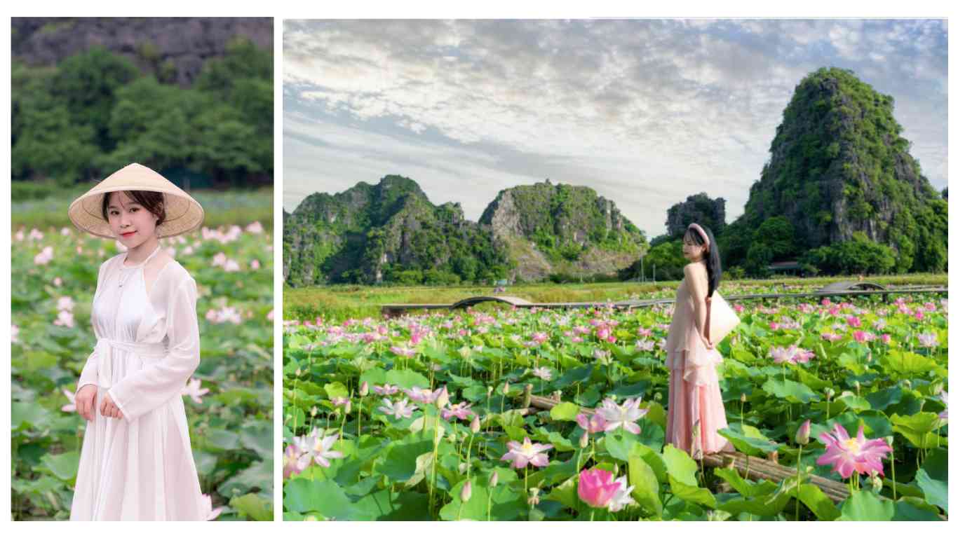 Mùa sen Ninh Bình