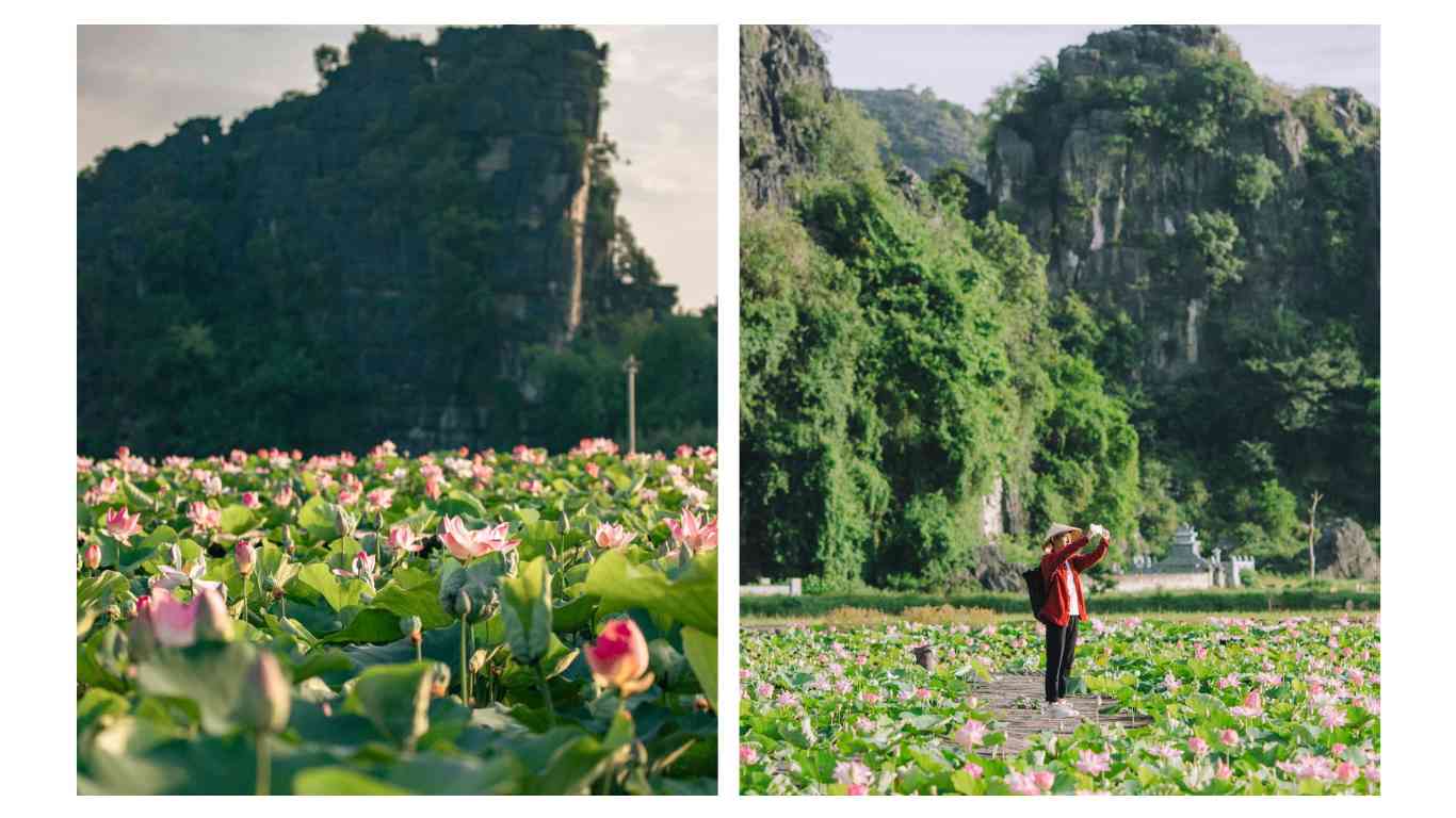 Hang Múa Ninh Bình