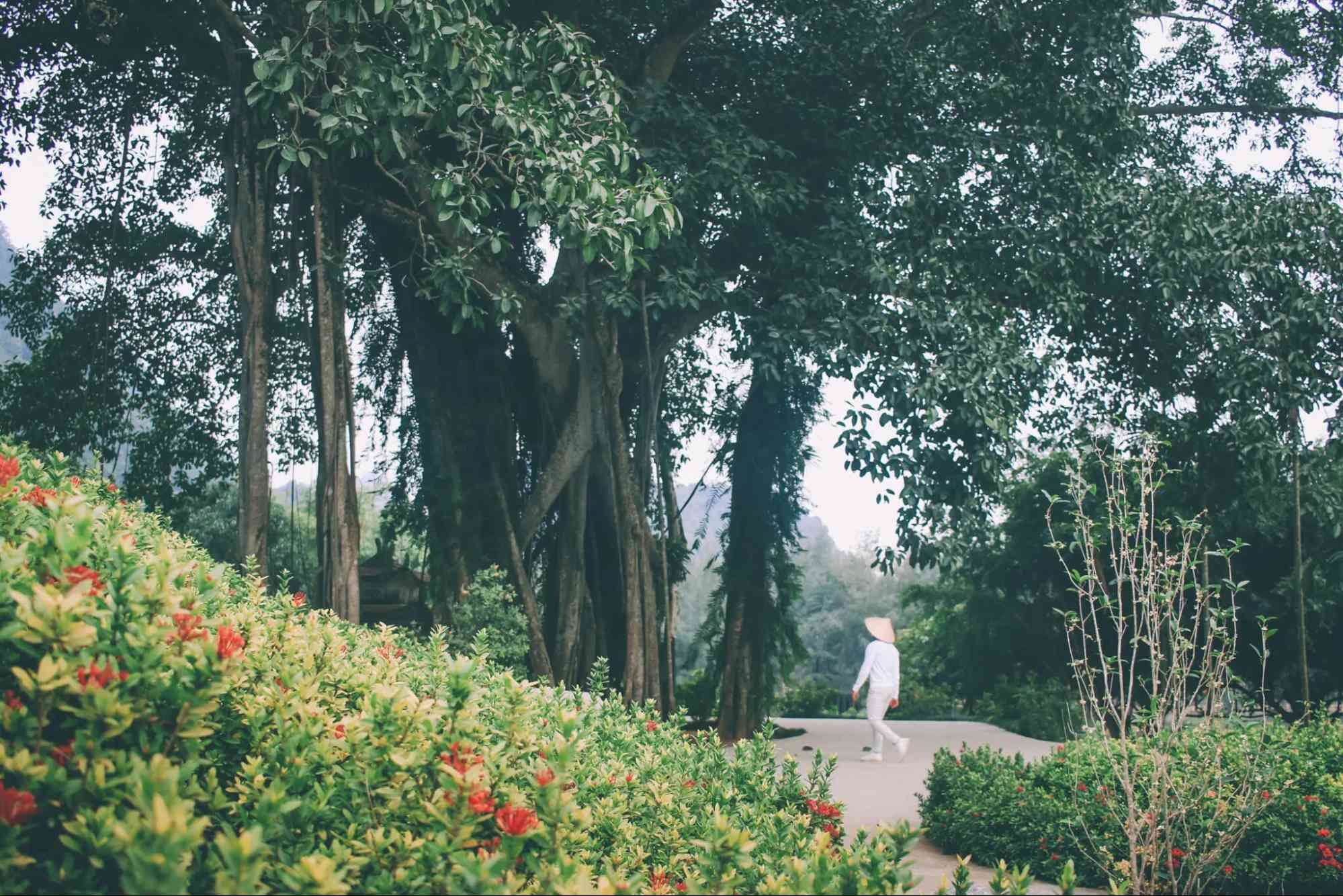 Thung Nham Ninh Bình