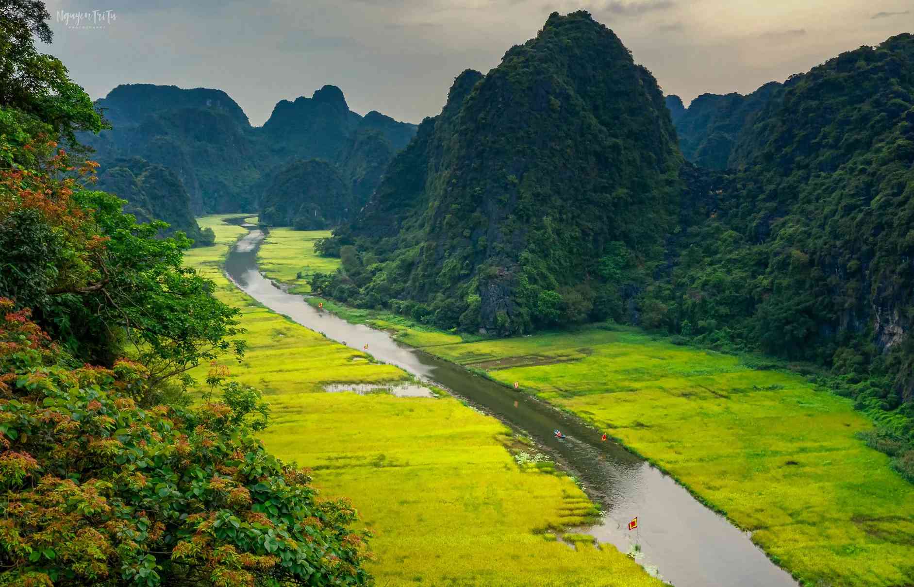 Tam Cốc Ninh Bình