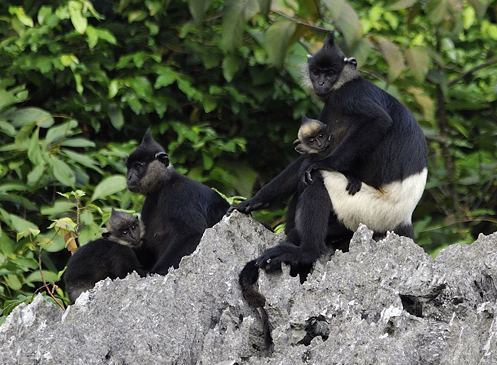 Khu du lịch Đầm V&acirc;n Long