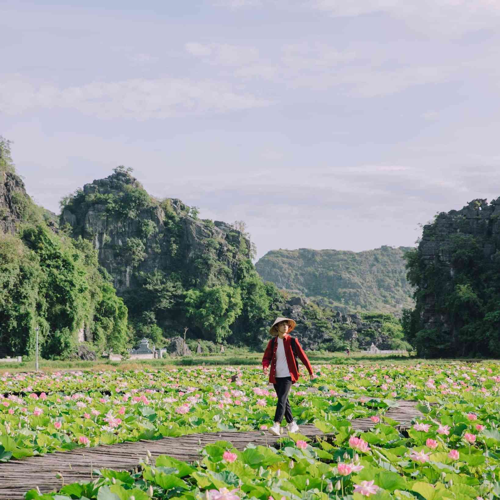Tham quan Hang Múa Ninh Bình