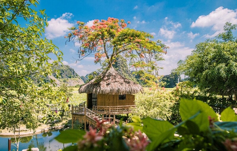 du lịch Ninh Bình mùa nào đẹp