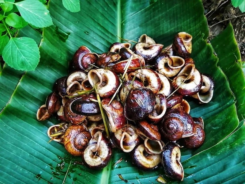 Ninh Bình ăn gì