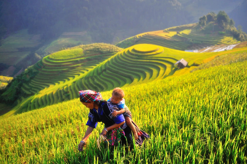 Ruộng bậc thang M&ugrave; Cang Chải ở đ&acirc;u