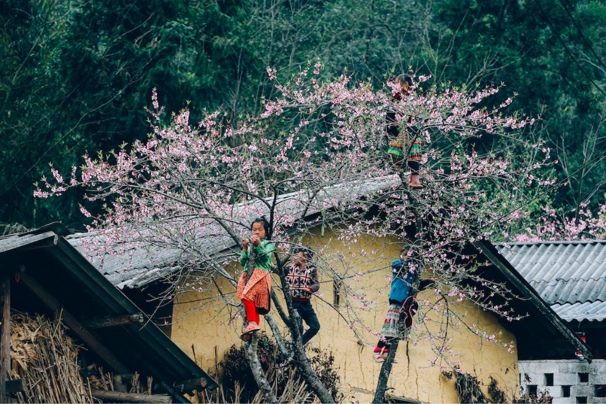 Tháng 3 nên đi du lịch ở đâu