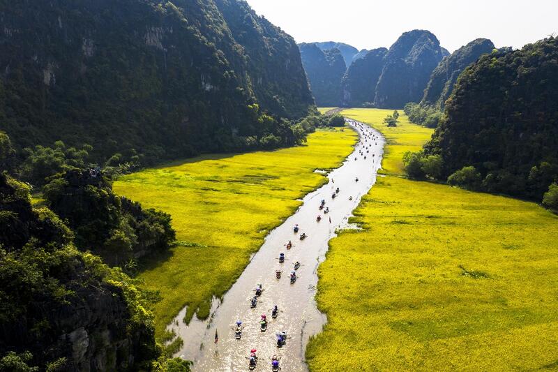 m&ugrave;a l&uacute;a ch&iacute;n Ninh B&igrave;nh