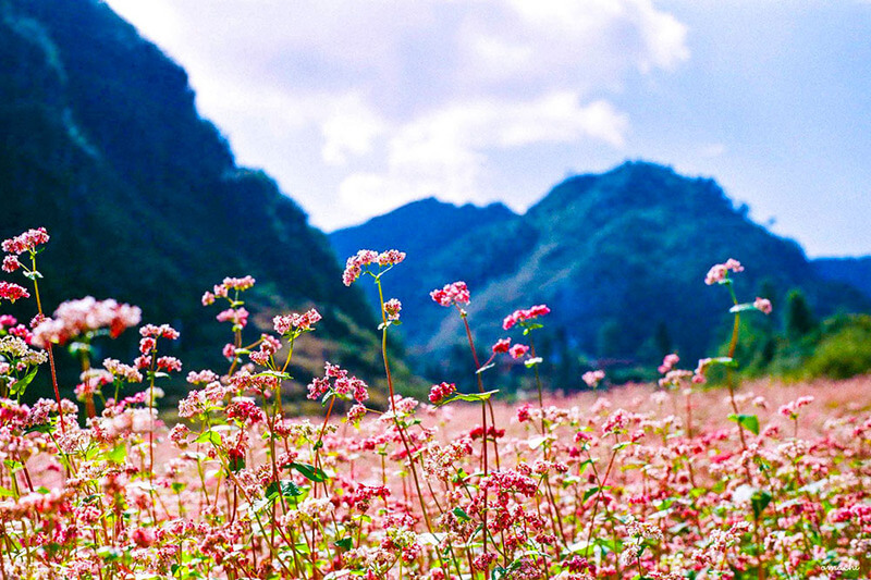 tháng 12 nên đi du lịch ở đâu