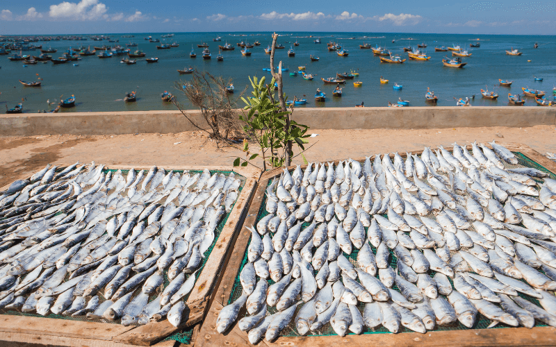 du lịch l&agrave;ng ch&agrave;i mũi n&eacute;