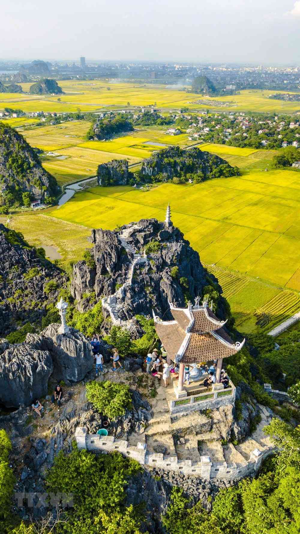 mùa lúa chín Ninh Bình