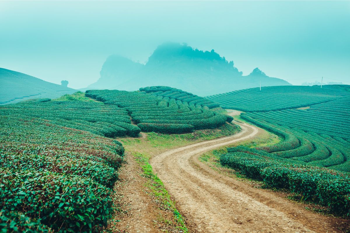 Tháng 3 du lịch ở đâu