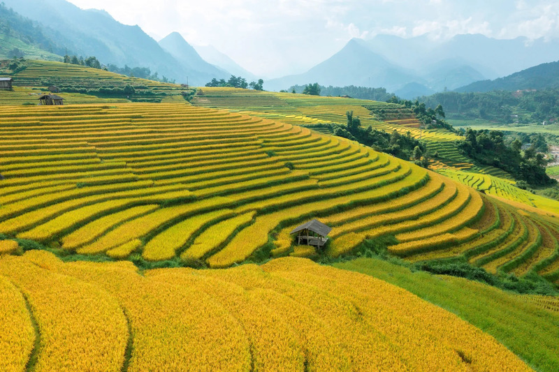 địa điểm ngắm ruộng bậc thang 