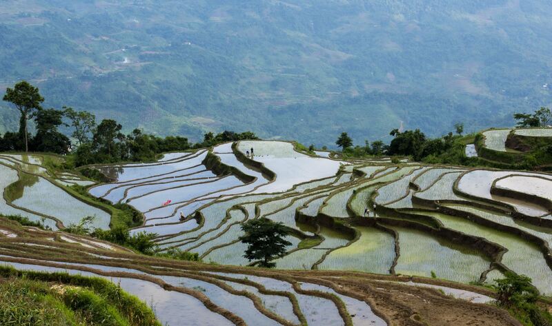 địa điểm ngắm ruộng bậc thang 