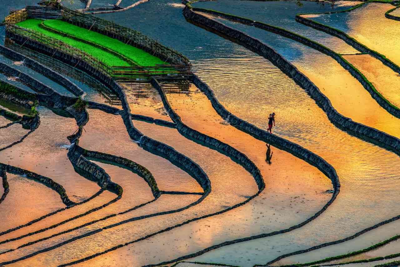 Ruộng bậc thang ở Việt Nam