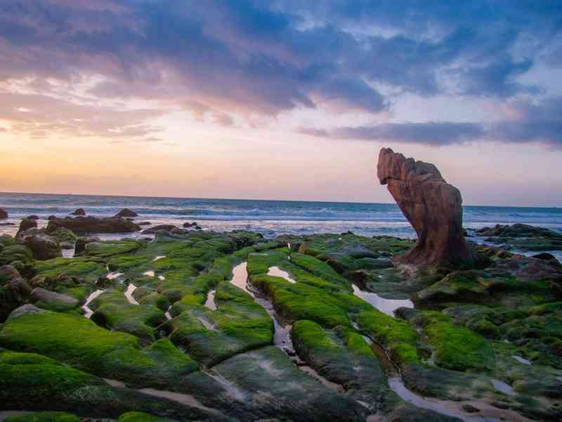 bãi biển cổ thạch