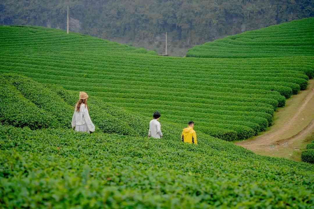 th&aacute;ng 5 n&ecirc;n đi du lịch ở đ&acirc;u