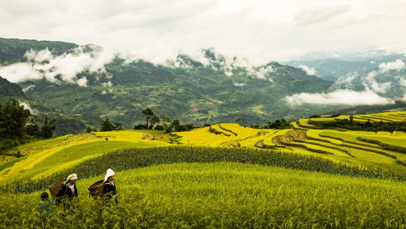 địa điểm ngắm ruộng bậc thang 