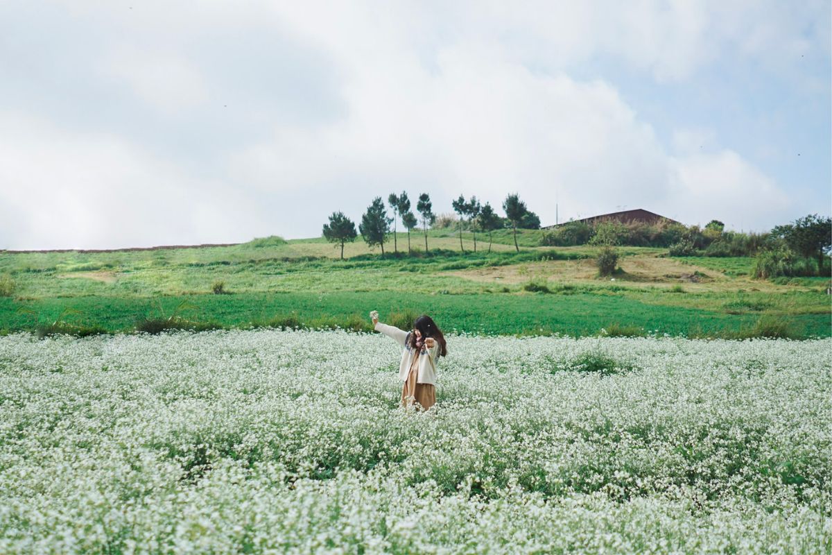 Tháng 3 nên đi du lịch ở đâu