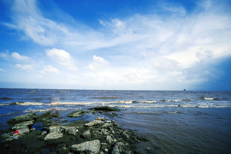 Biển Cồn Nổi Ninh Bình