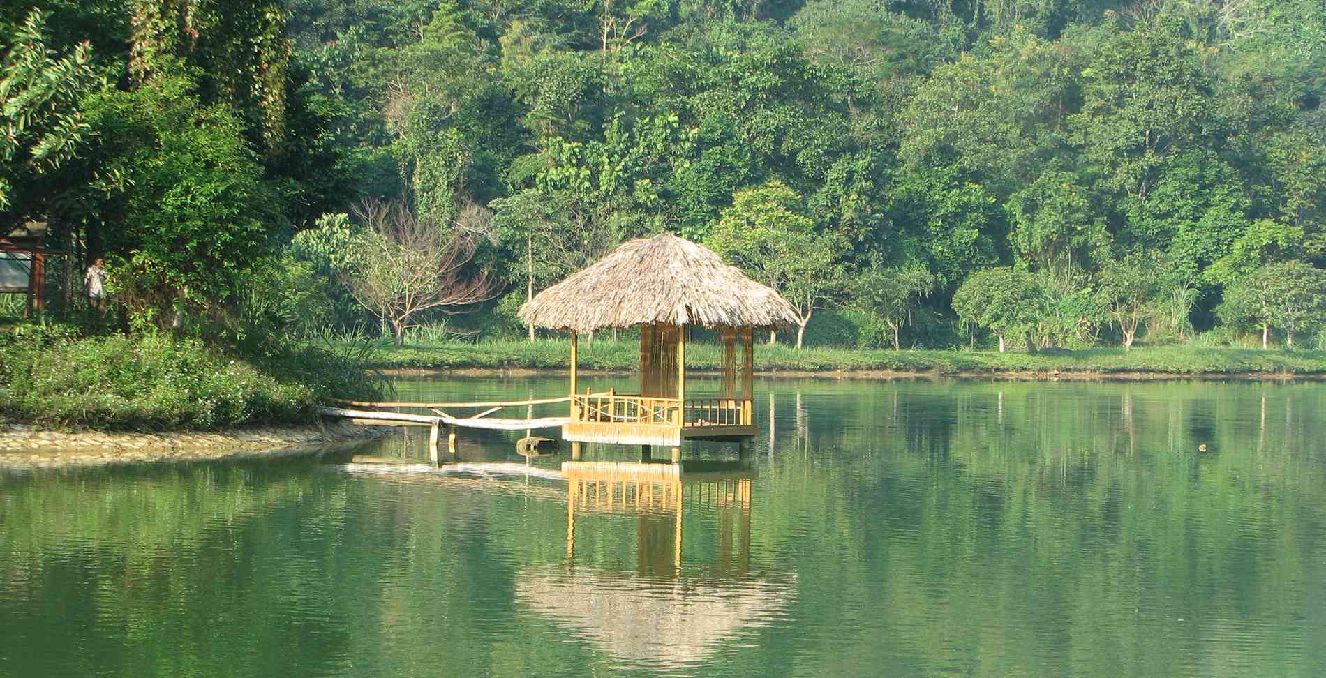 Mùa đom đóm tháng mấy