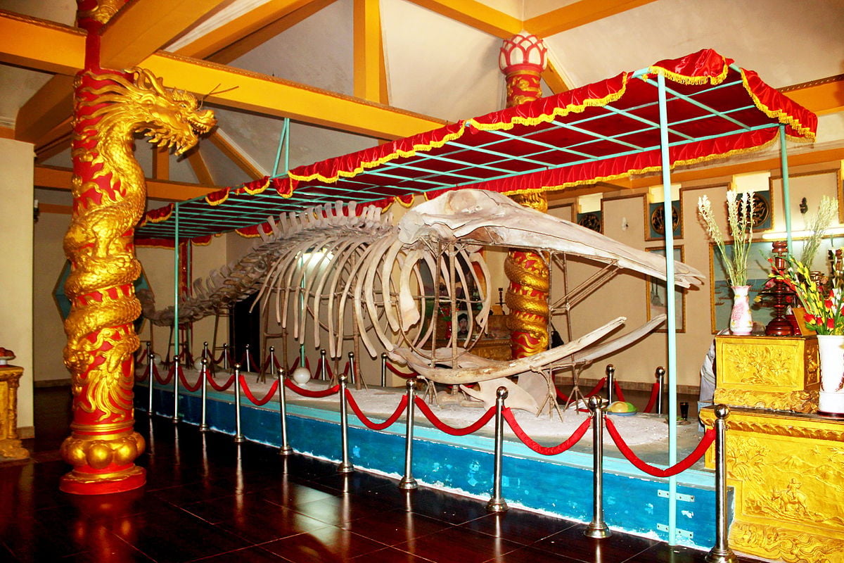 Lễ hội tại Nha Trang