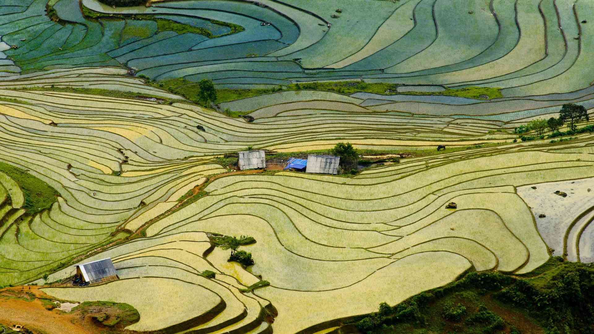 Sapa m&ugrave;a nước đổ