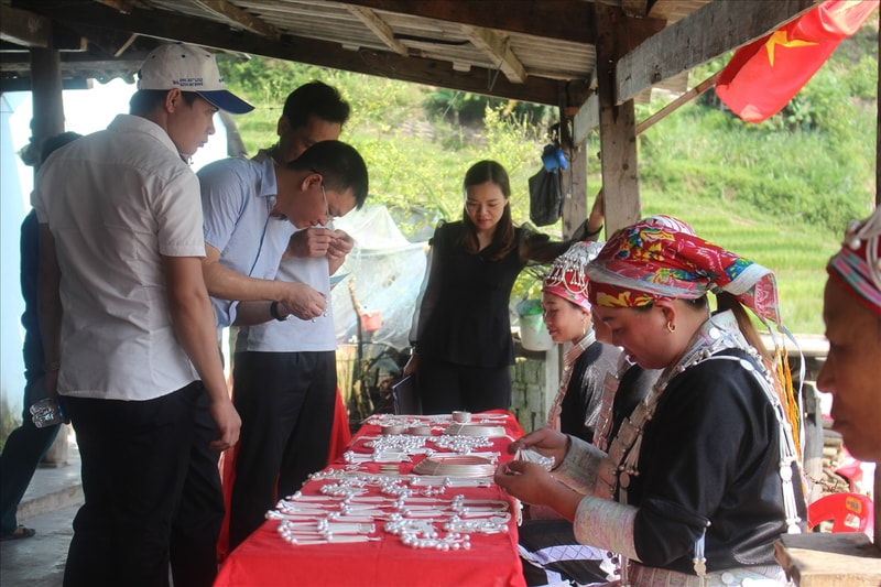 nậm cang sapa