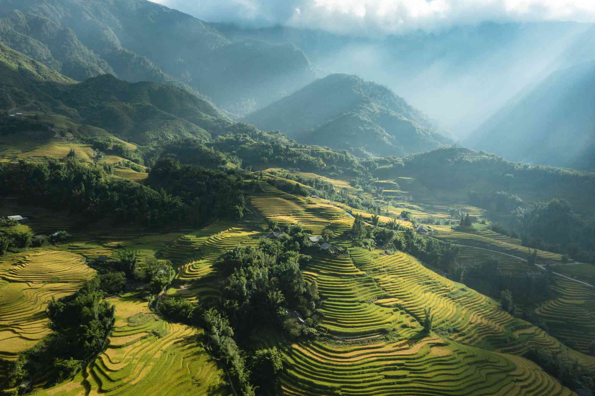 du lịch sapa mùa lúa chín