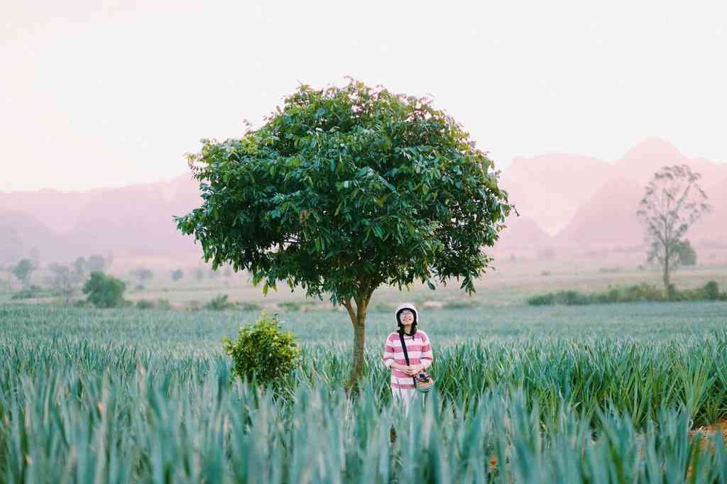 những địa điểm check-in đẹp ở ninh bình
