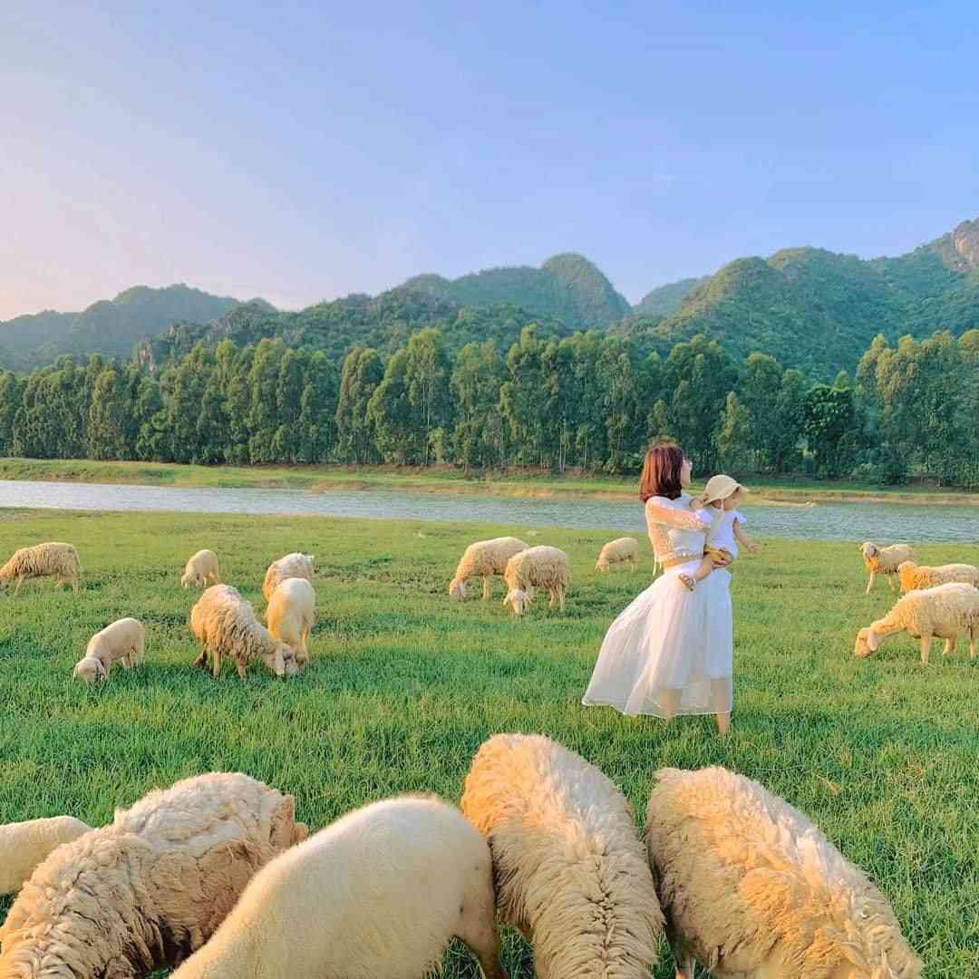 những địa điểm check-in đẹp ở ninh bình
