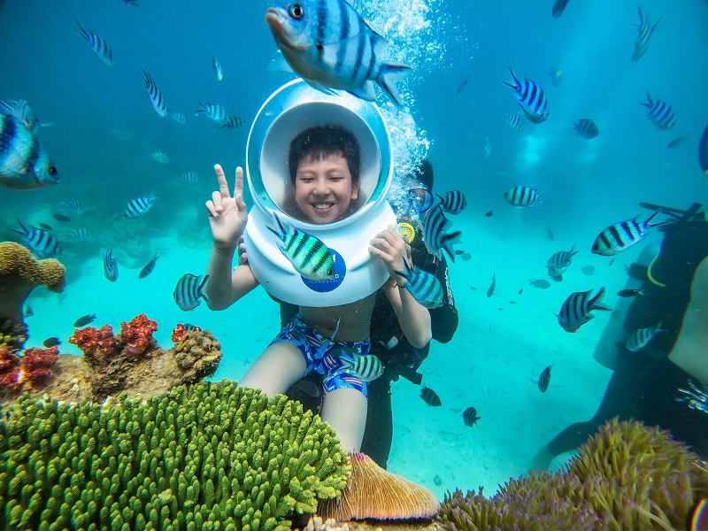 tour đi bộ dưới đ&aacute;y biển nha trang