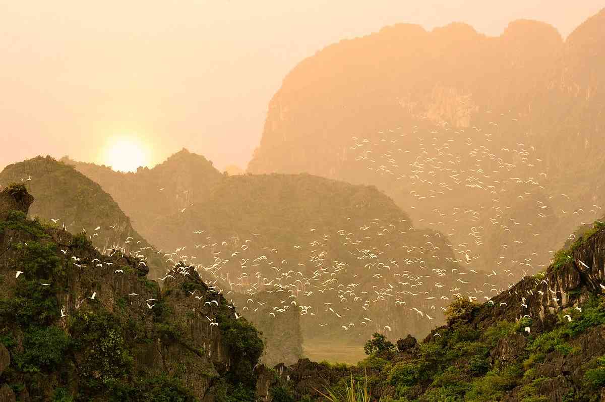 những địa điểm check-in đẹp ở ninh bình