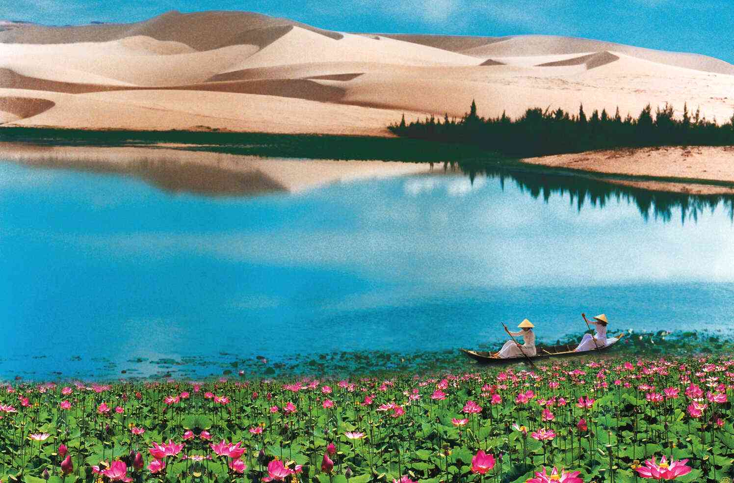 bàu trắng có gì chơi