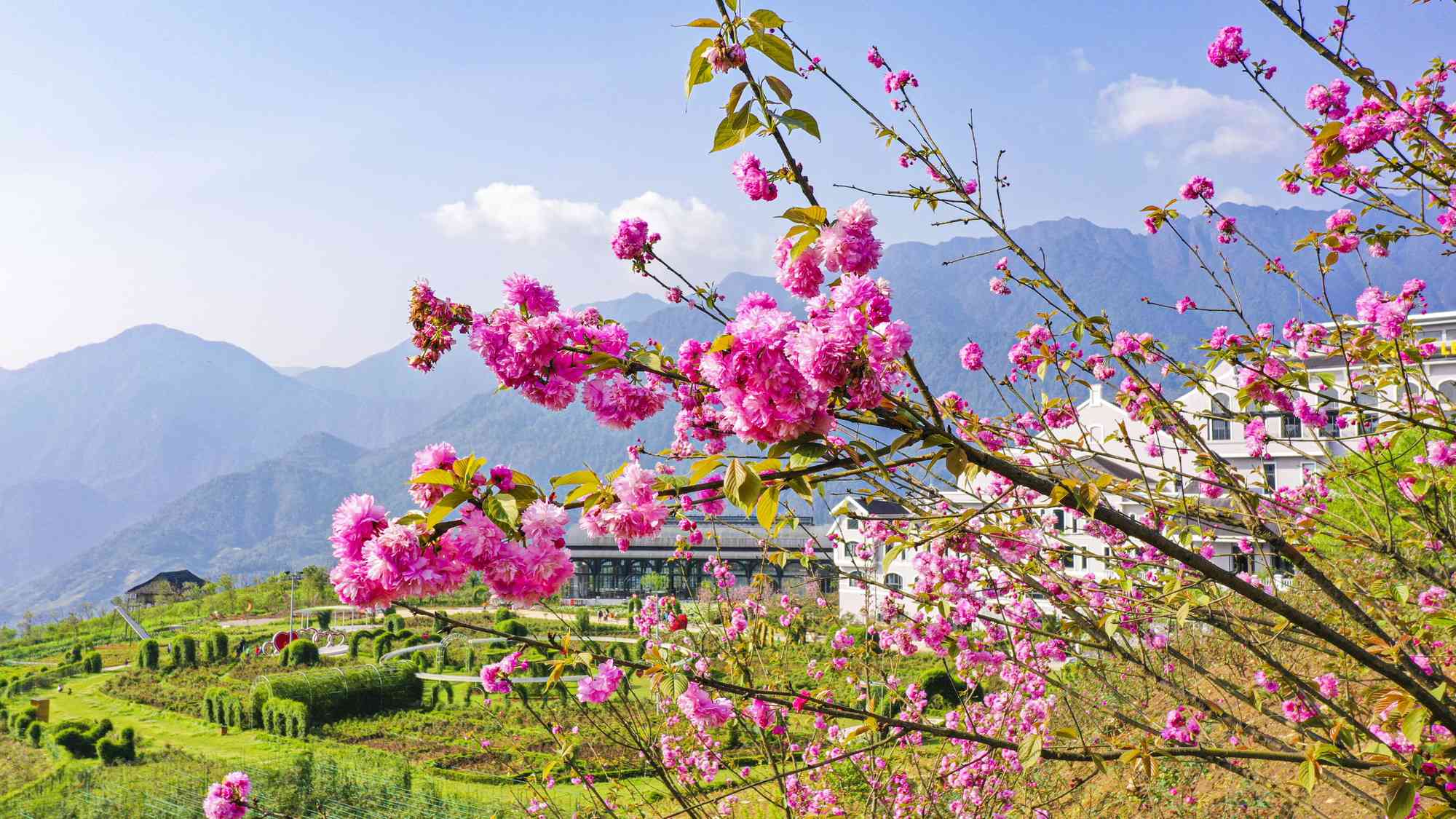 Sapa m&ugrave;a nước đổ