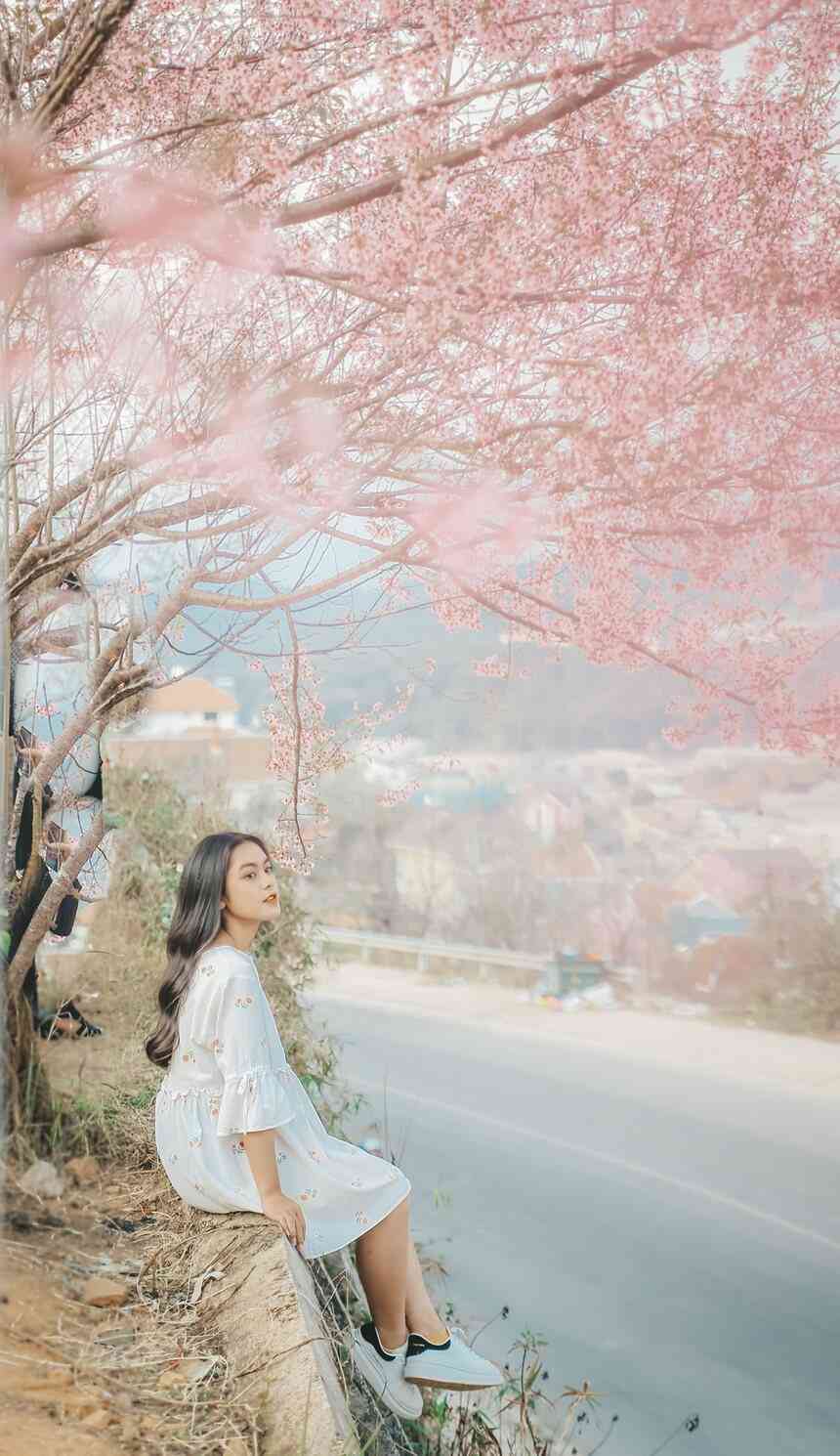 m&ugrave;a tết n&ecirc;n đi du lịch ở đ&acirc;u