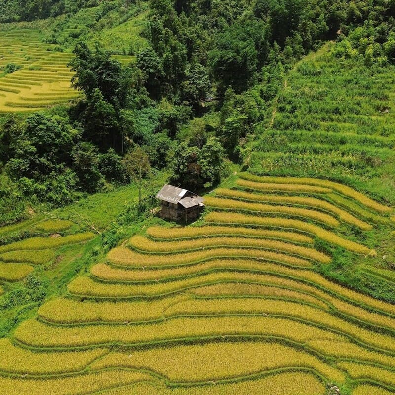 nam cang sapa