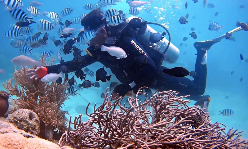 seawalker nha trang