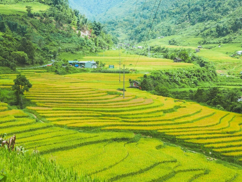 nam cang sapa