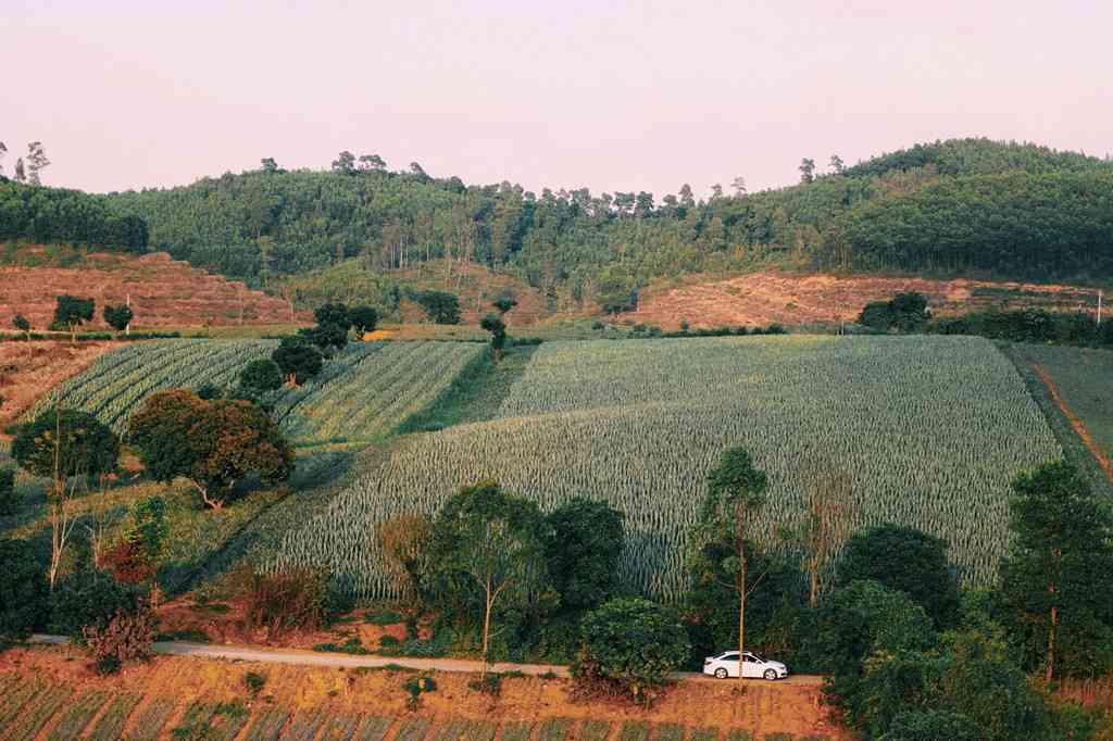 chụp ảnh ở Ninh Bình