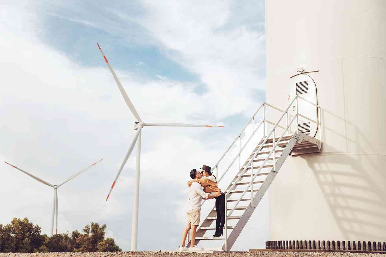 c&aacute;nh đồng quạt gi&oacute; mũi n&eacute;
