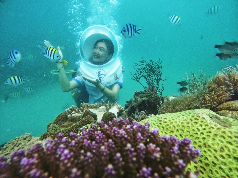 đi bộ dưới biển nha trang