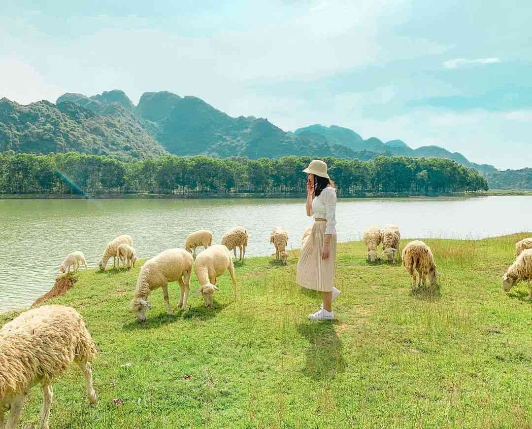 chụp ảnh ở Ninh Bình