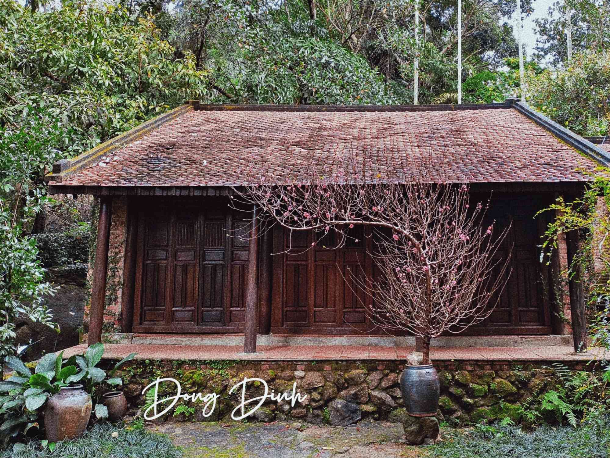 Bảo t&agrave;ng Đồng Đ&igrave;nh
