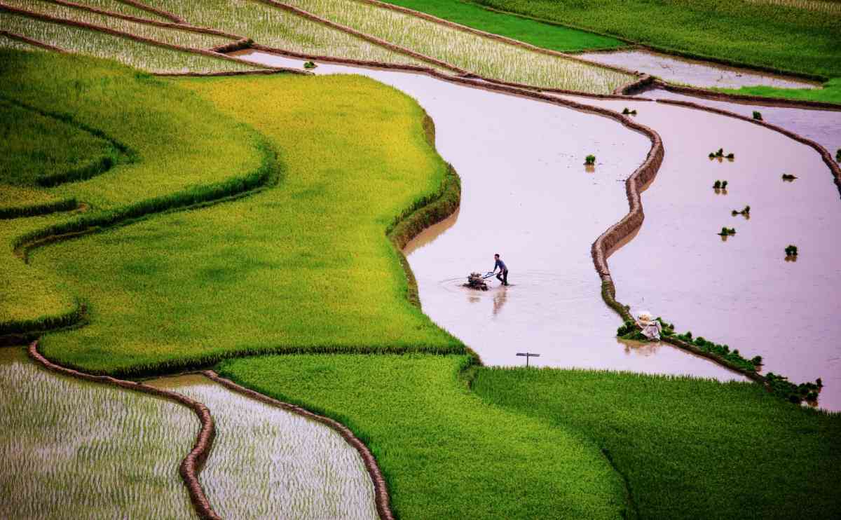 Sapa m&ugrave;a nước đổ
