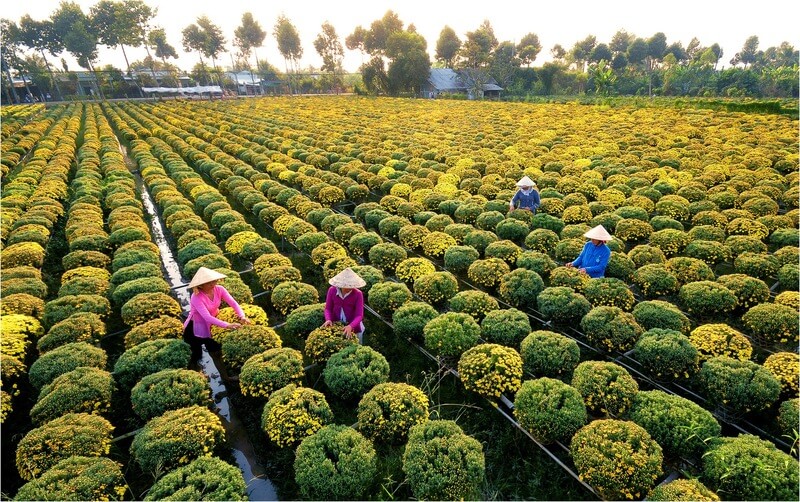 Th&aacute;ng 1 n&ecirc;n đi du lịch ở đ&acirc;u tại miền Nam