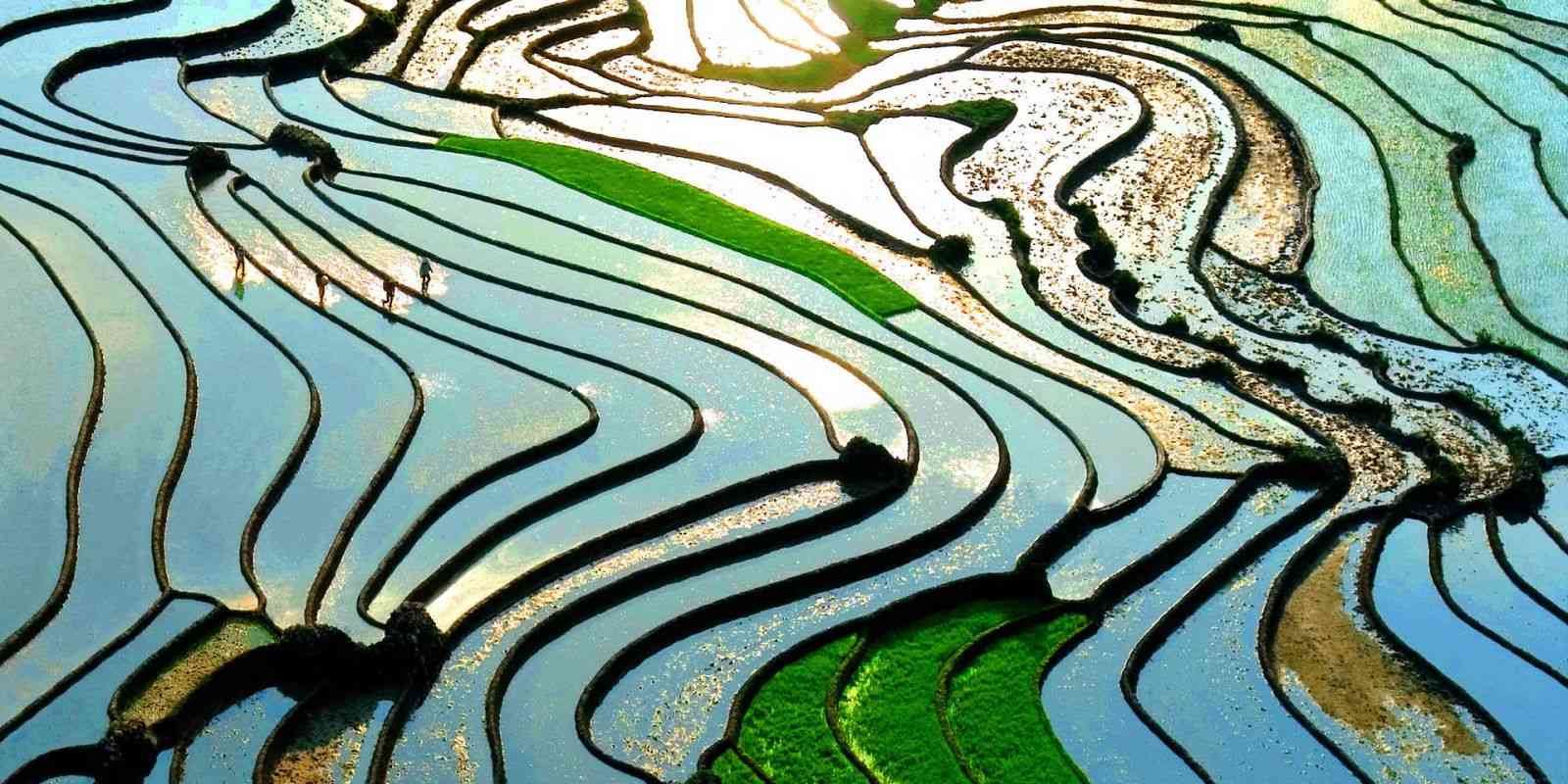 M&ugrave;a nước đổ sapa