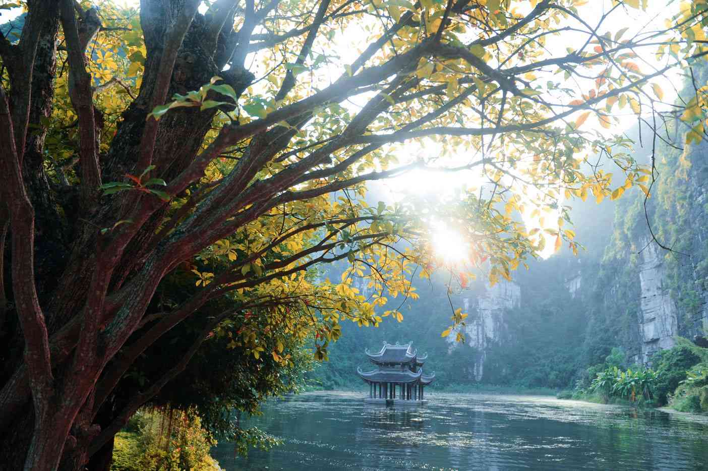trang an tuyen 3