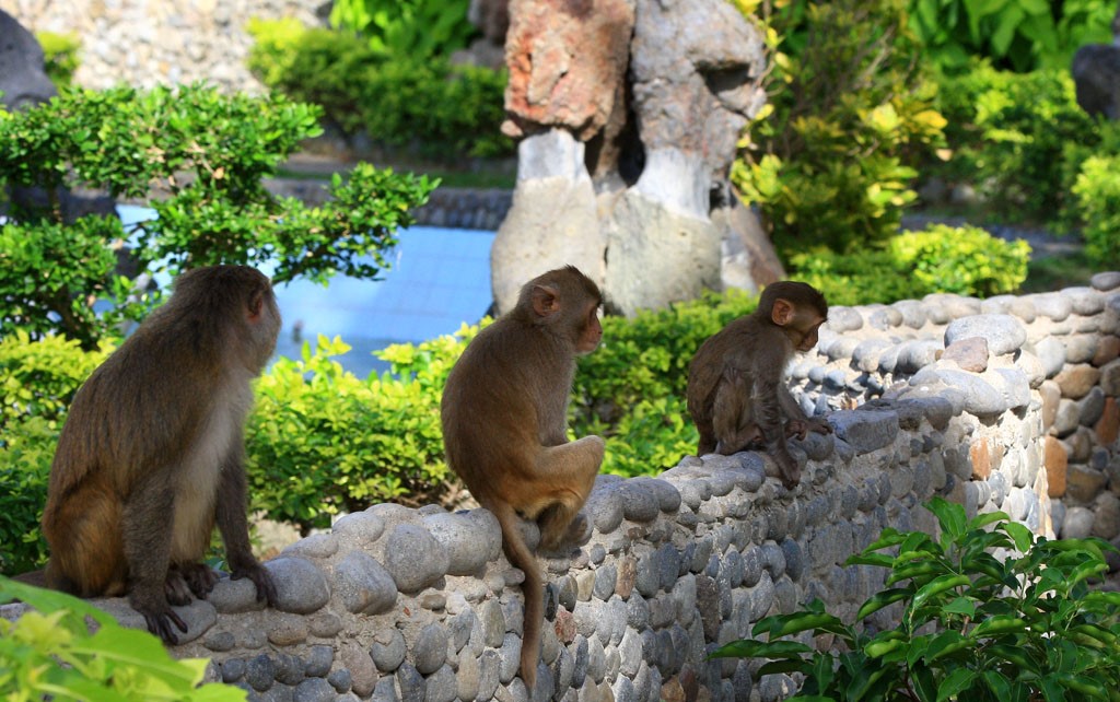 Bản đồ du lịch Nha Trang