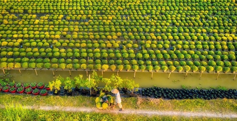 dịp tết n&ecirc;n đi du lịch ở đ&acirc;u