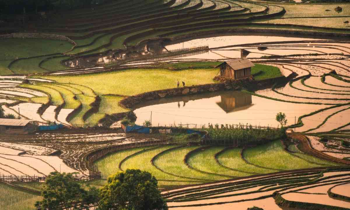 M&ugrave;a nước đổ sapa